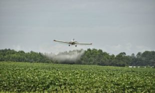 Crop Duster Chemical Application